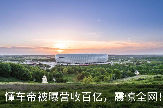 懂车帝被曝营收百亿，震惊全网！